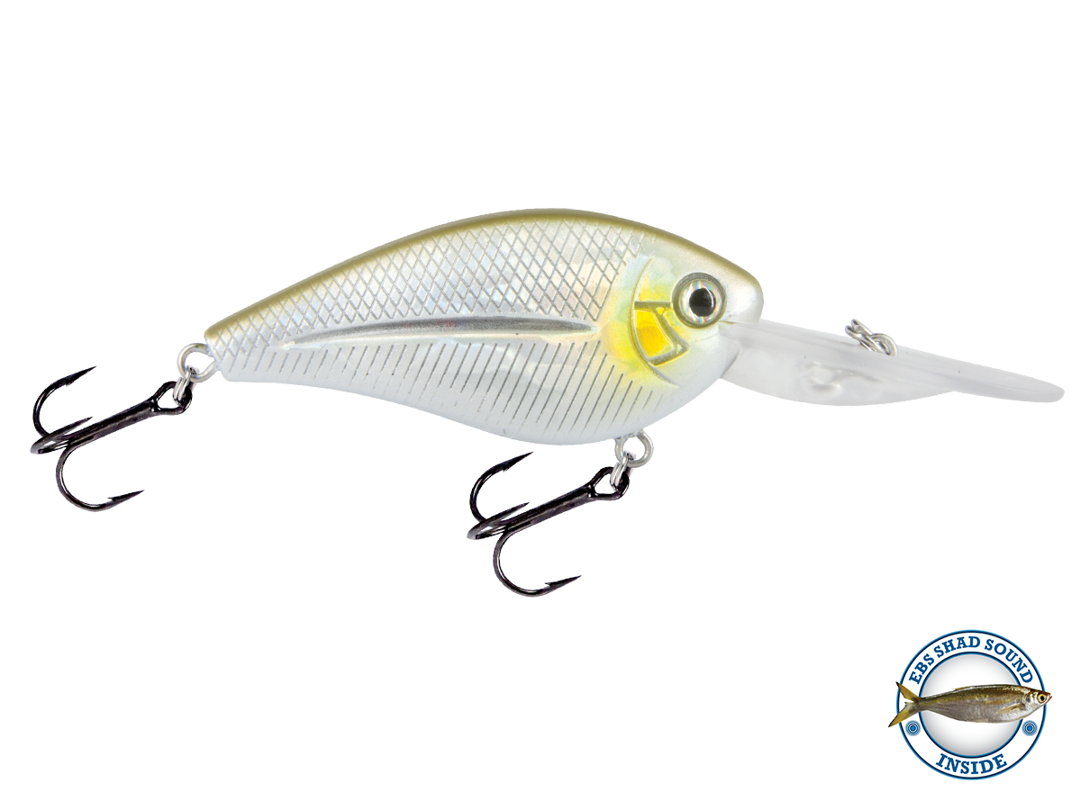 Livingston Lures FlatMaster | EBS Tight-Wobble Crankbait