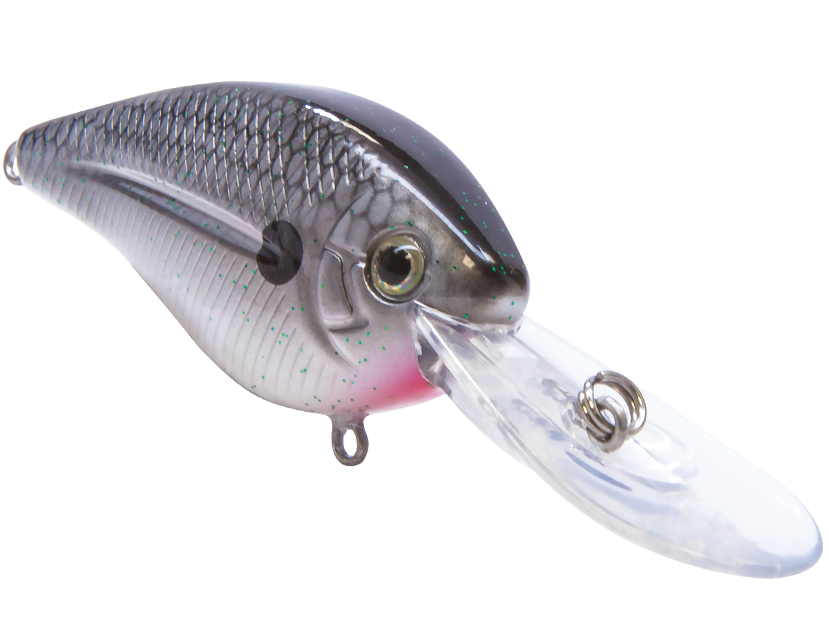 Livingston Lures FlatMaster | EBS Flat-Sided Crankbait