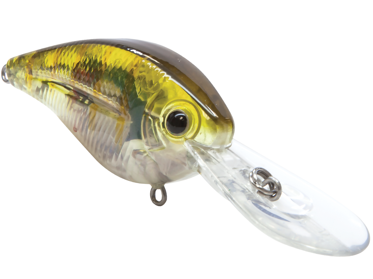 Livingston Lures FlatMaster | EBS Flat-Sided Crankbait