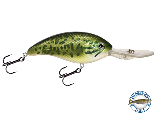 Livingston Lures Deep Impact 18 | EBS Deep-Diving Crankbait