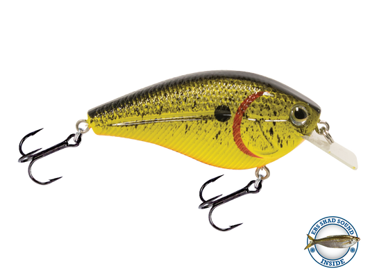 Livingston Lures Primetyme Square 2.0 | EBS Squarebill Crankbait