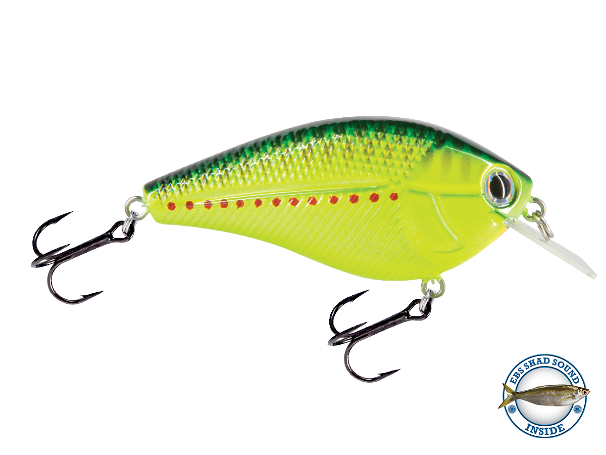 Livingston Lures Primetyme Square 2.0 | EBS Squarebill Crankbait