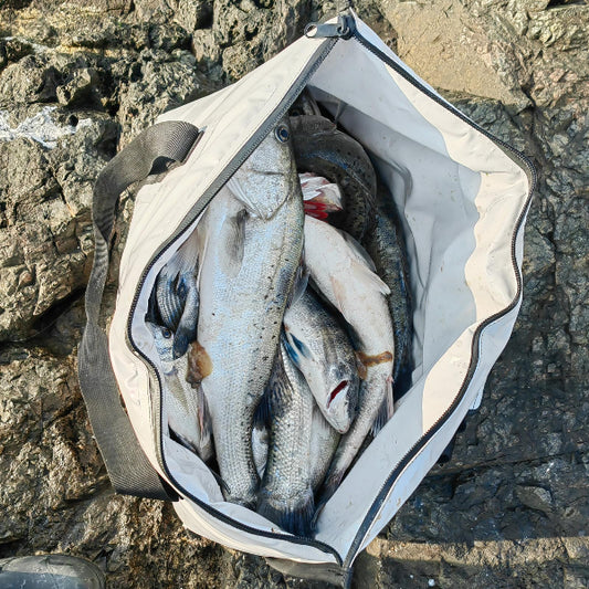 Fishing bag filled with fish on a rocky surface