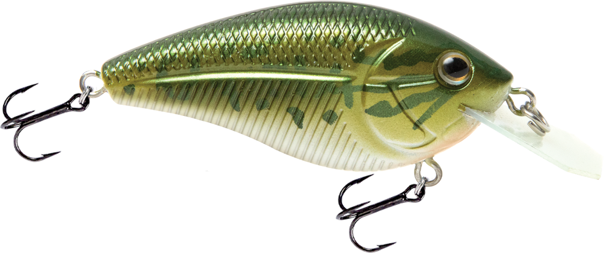 Livingston Lures Primetyme CB 1.5 | EBS Coffin-Bill Crankbait