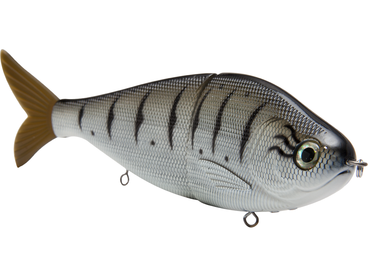 Livingston Lures Viper 8 | Adjustable EBS Predator Swimbait