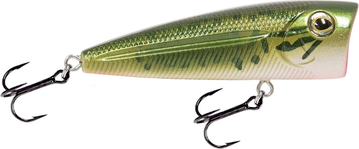 Livingston Lures Walk N Pop 67 | EBS Walking Topwater Popper