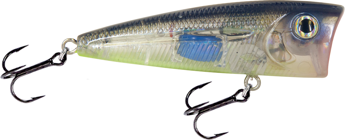 Livingston Lures Walk N Pop 67 | EBS Walking Topwater Popper