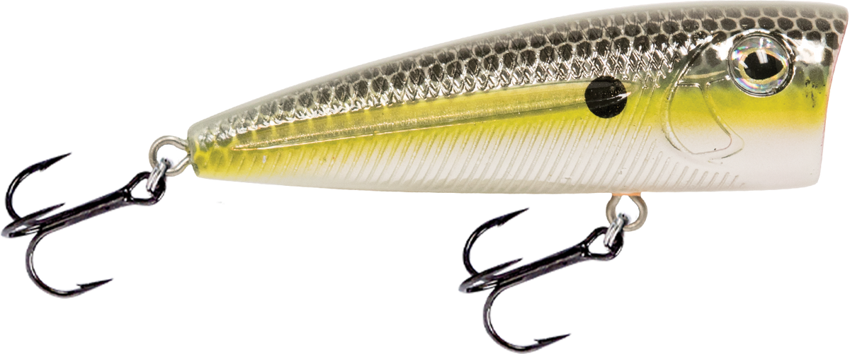 Livingston Lures Walk N Pop 67 | EBS Walking Topwater Popper