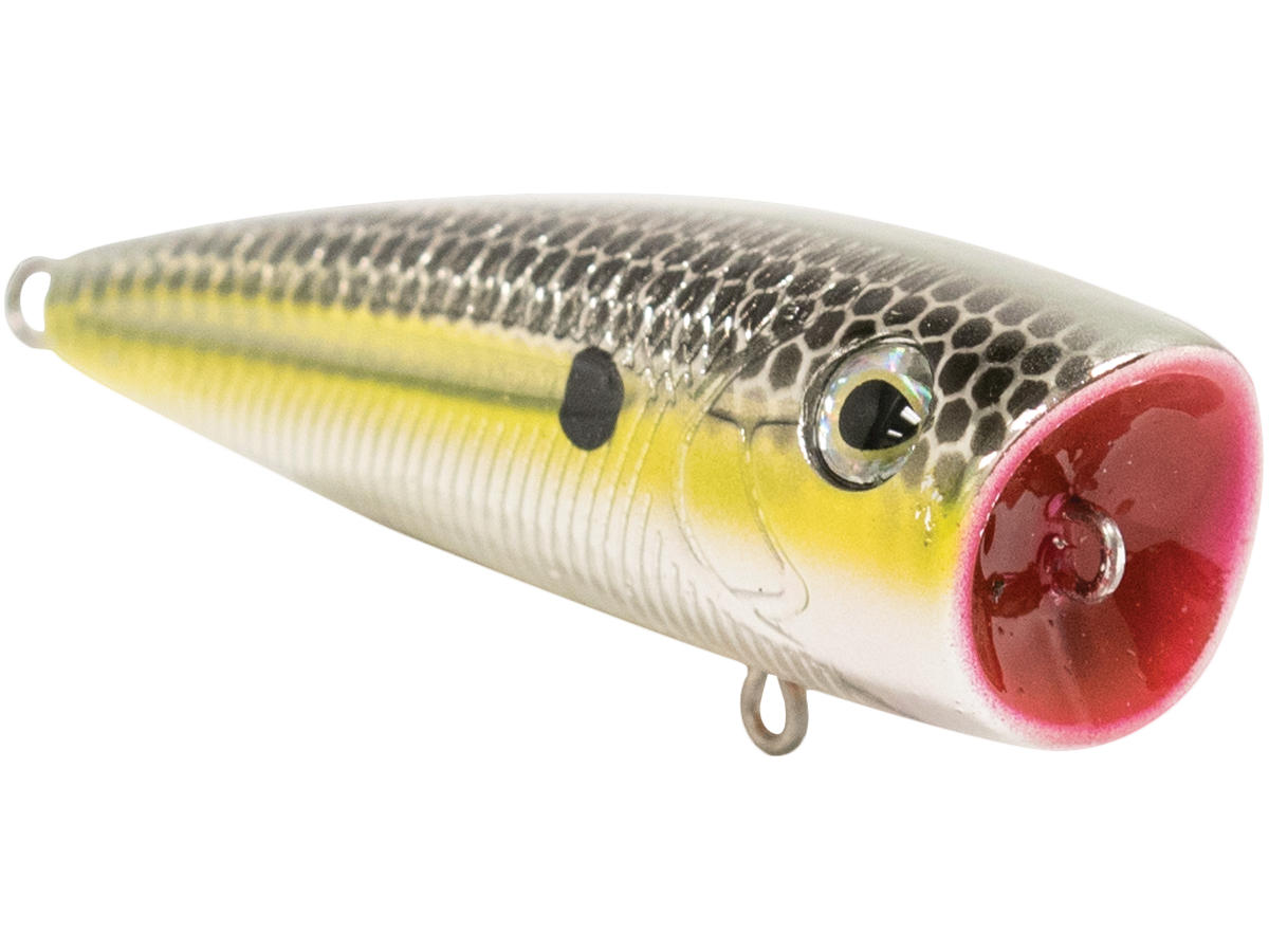 Livingston Lures Walk N Pop 67 | EBS Walking Topwater Popper