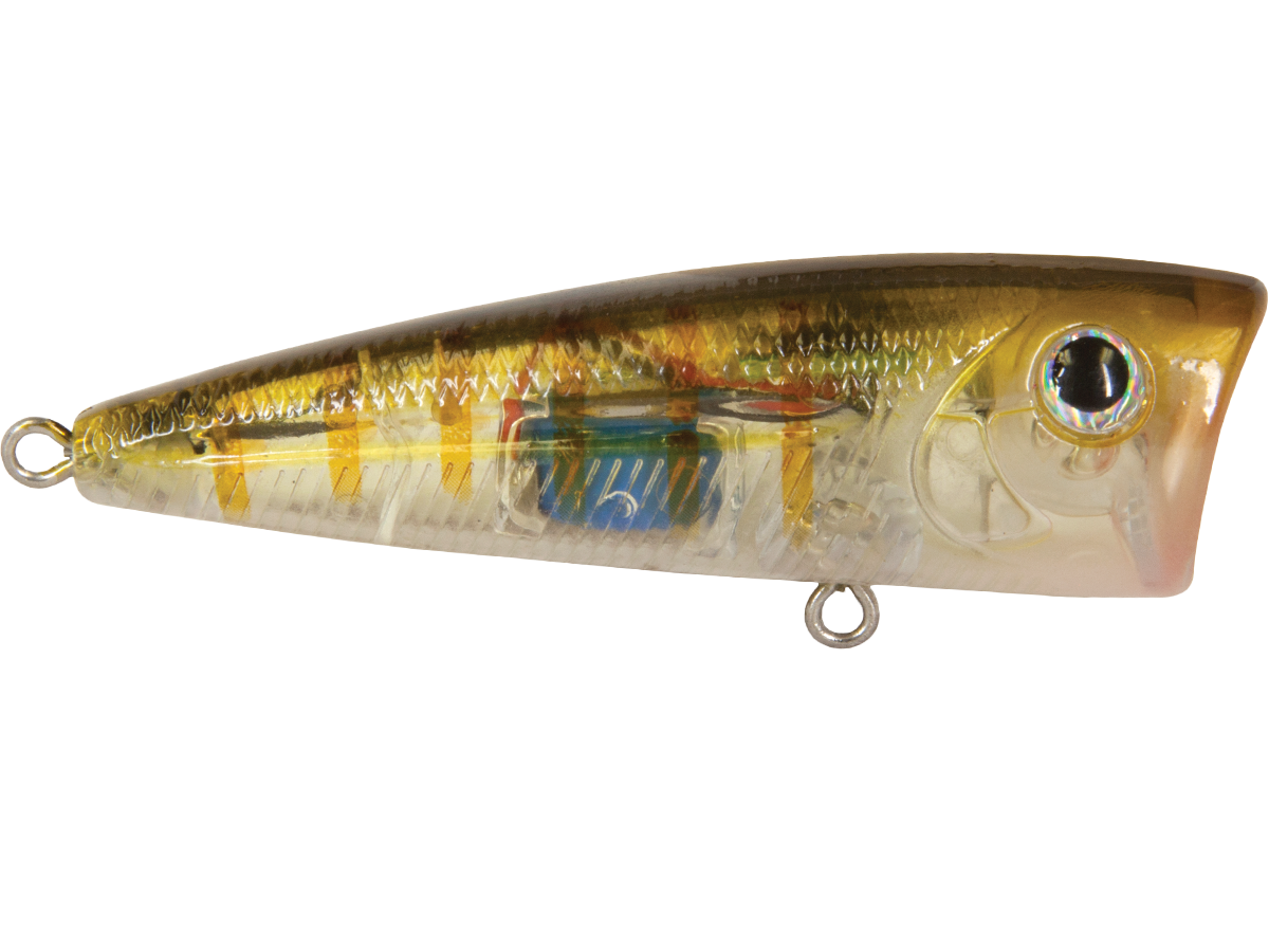 Livingston Lures Walk N Pop 77 | EBS Topwater Popper