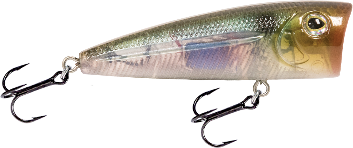 Livingston Lures Walk N Pop 67 | EBS Walking Topwater Popper