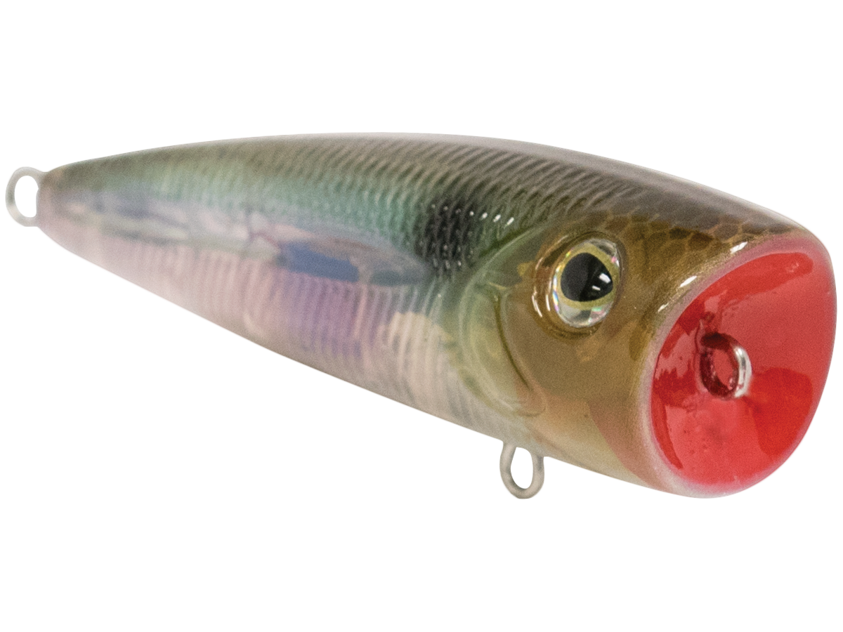 Livingston Lures Walk N Pop 67 | EBS Walking Topwater Popper
