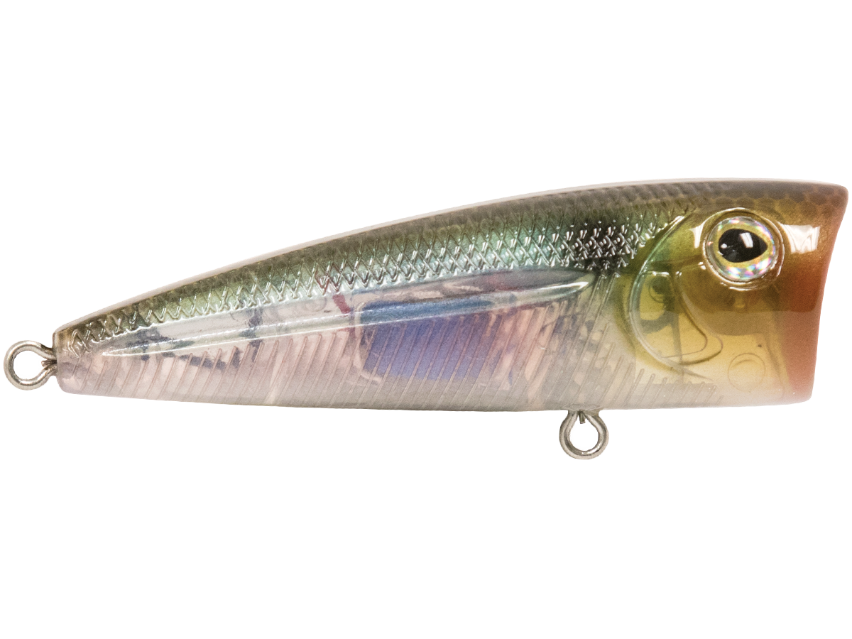 Livingston Lures Walk N Pop 67 | EBS Walking Topwater Popper