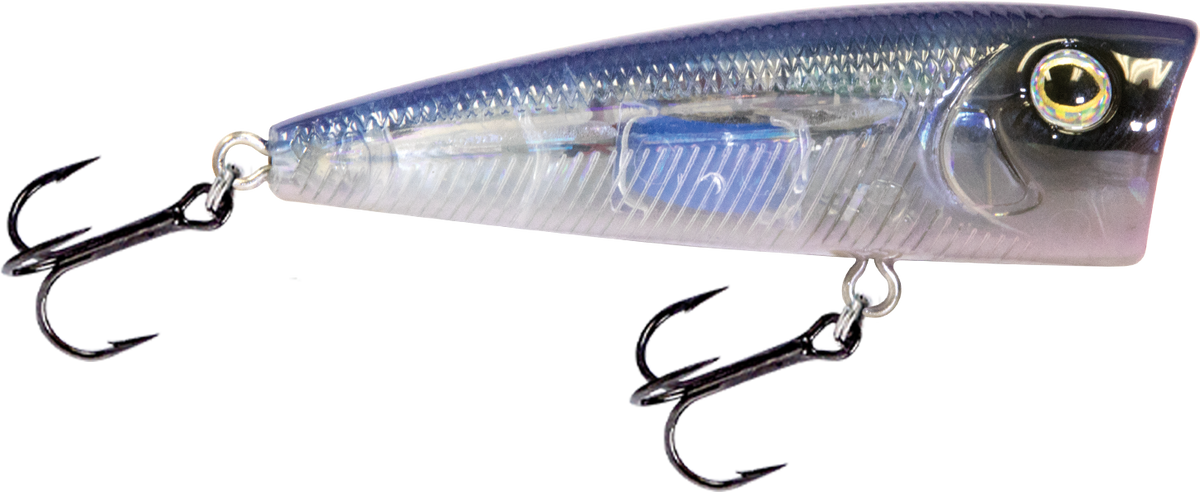 Livingston Lures Walk N Pop 67 | EBS Walking Topwater Popper