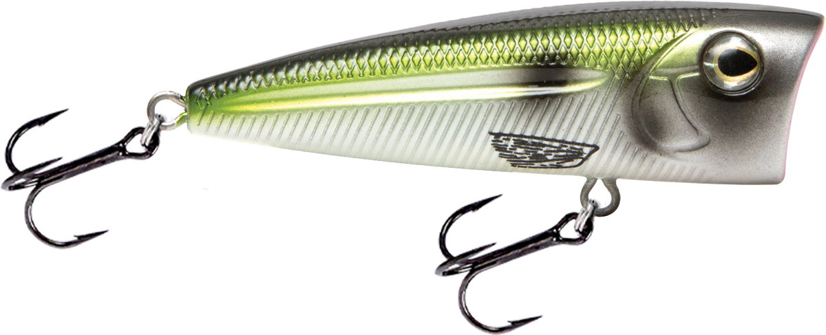 Livingston Lures Walk N Pop 67 | EBS Walking Topwater Popper