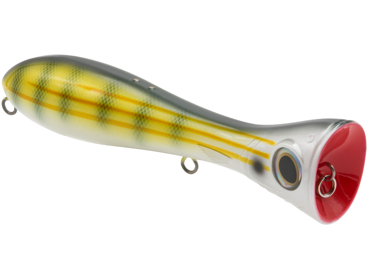 Livingston Lures Big Poppa 6 | EBS Saltwater Topwater Popper