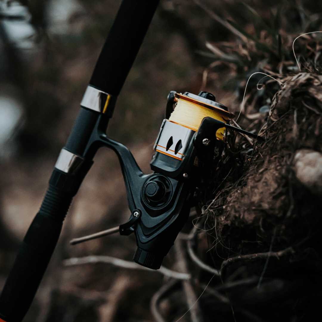 Catfish Pro 600STS Spinning Reel | Live Liner & Clicker
