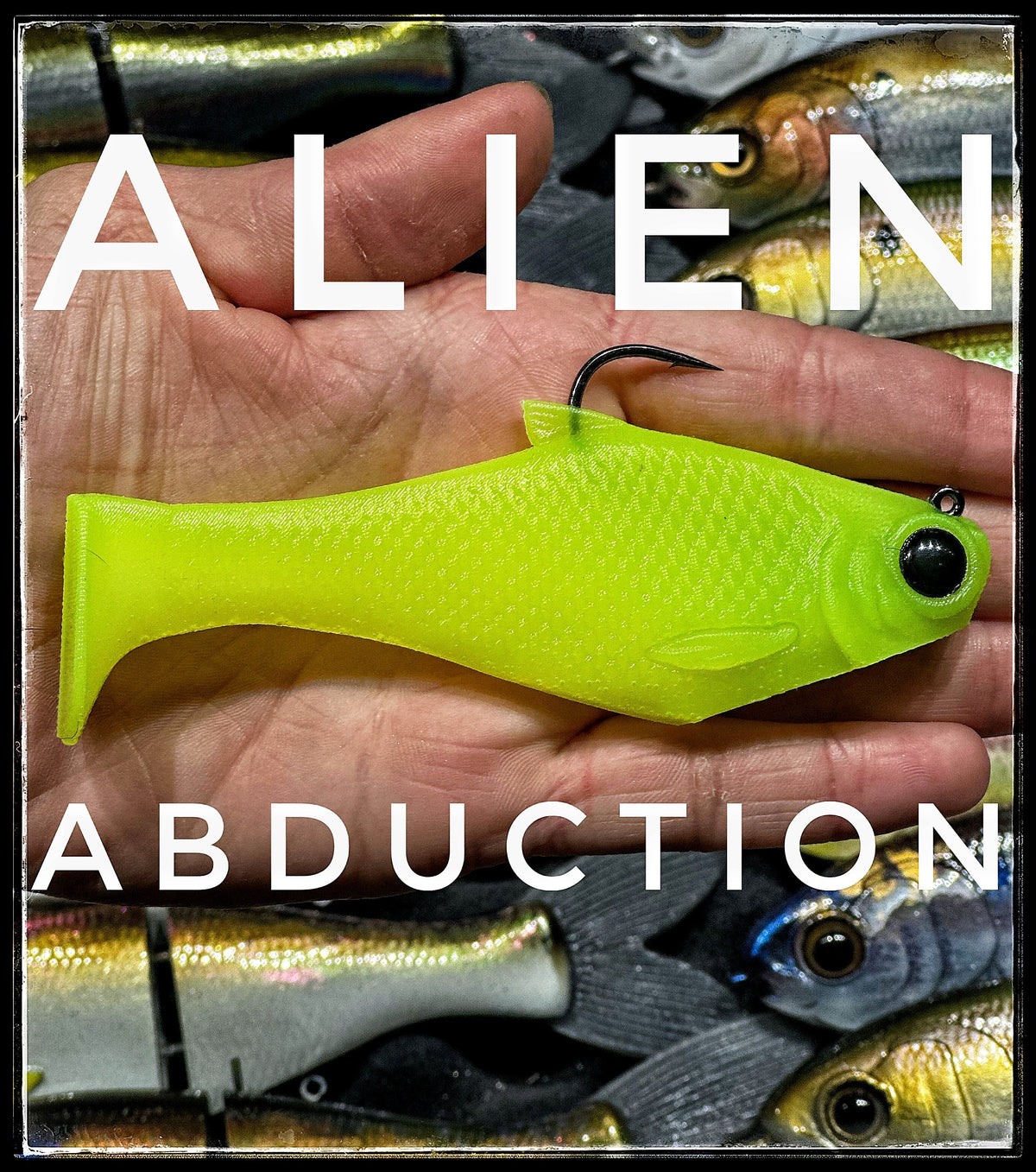Bull Shad Swimbaits Bacca Burrito Fast Sink 5" & 6"