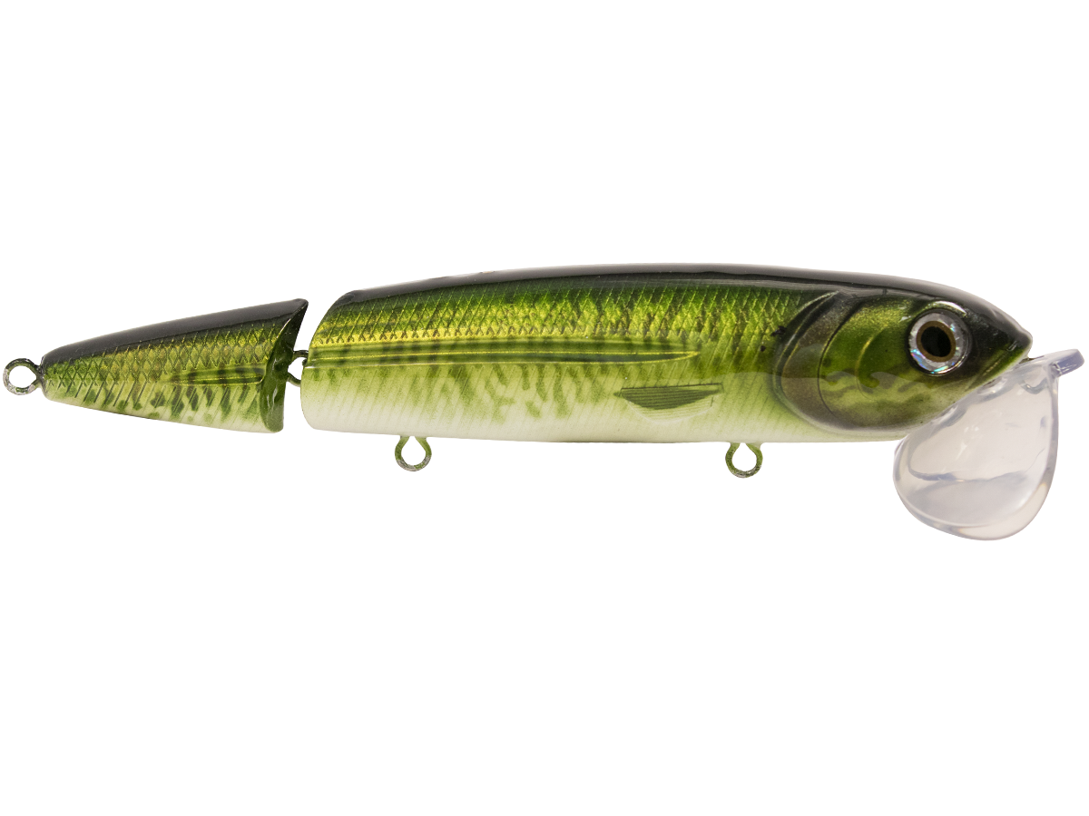 Livingston Lures Walking Boss II Magnum | EBS Predator Topwater