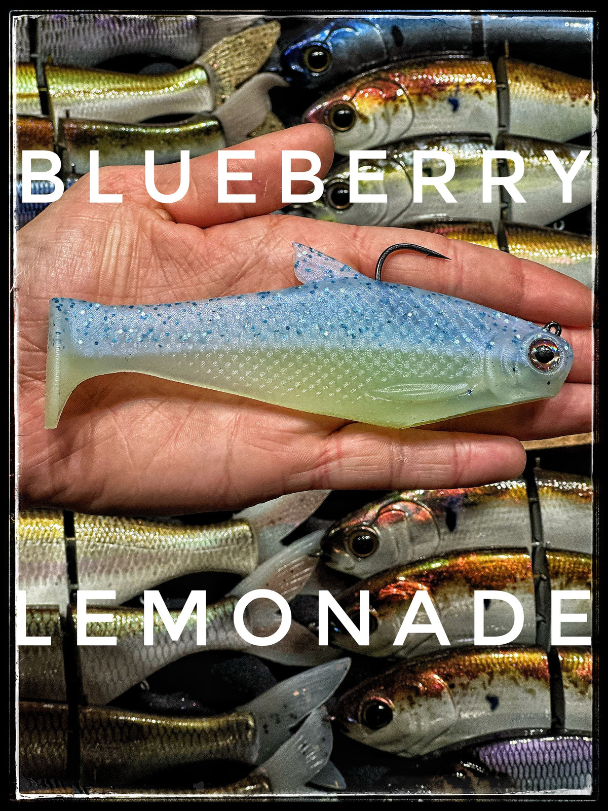 Bull Shad Swimbaits Bacca Burrito Fast Sink 5" & 6"