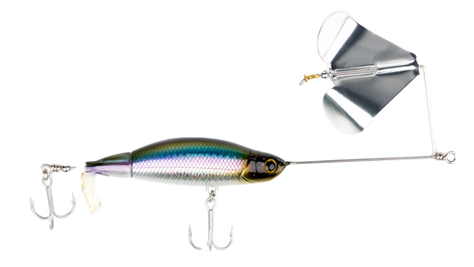 A fishing lure with a metallic silver body, iridescent blue-green shimmer, a gold eye, and a silver spinner blade on a white background.