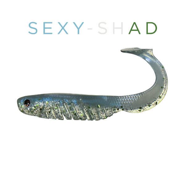 Fishing lure labeled 'SEXY-SHAD' on a white background