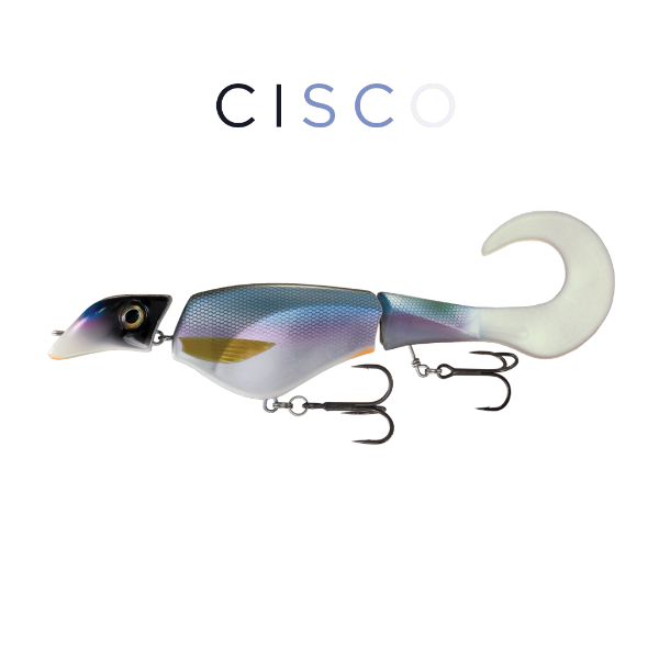 Fishing lure with 'Cisco' branding on a white background