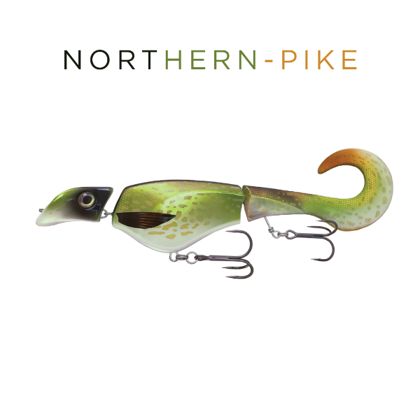Fishing lure with 'Northern Pike' branding on a white background