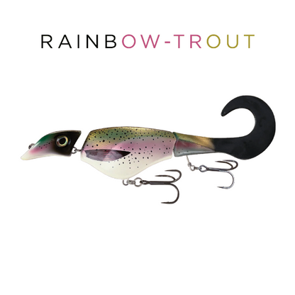 Fishing lure shaped like a rainbow trout with 'RAINBOW-TROUT' text above it on a white background.