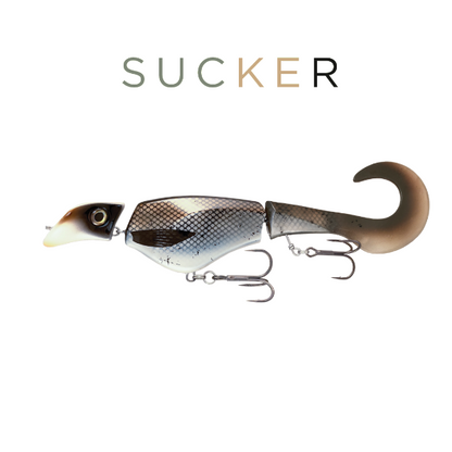 Fishing lure with a hook on a white background, labeled 'Sucker'.