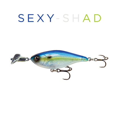 Fishing lure with 'SEXY-SHAD' text on a white background