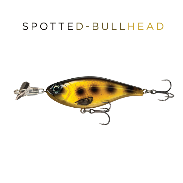 Spotted-bullhead fishing lure on a white background