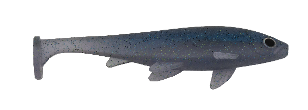 Blue and gray fishing lure on a white background