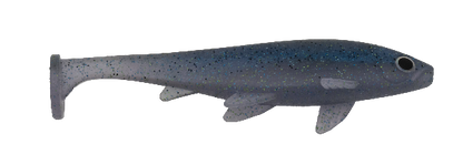 Blue and gray fishing lure on a white background
