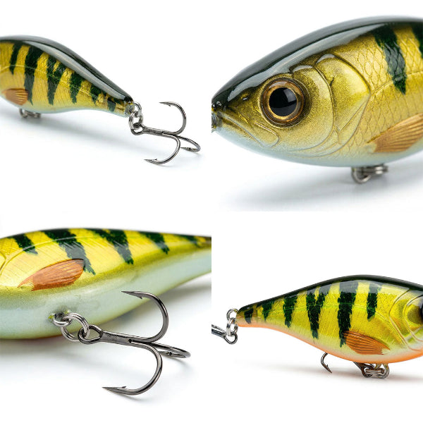 Collage of a striped fishing lure on a white background