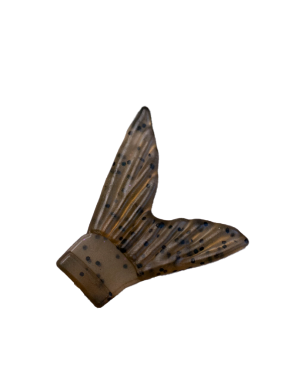 Brown and black patterned fish tail