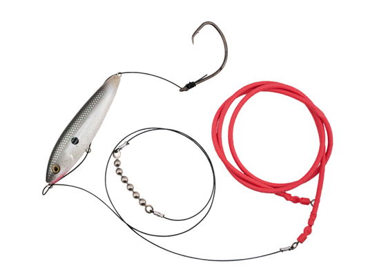 Livingston Lures Gatto Loco | EBS Catfish Rig with Sound Technology