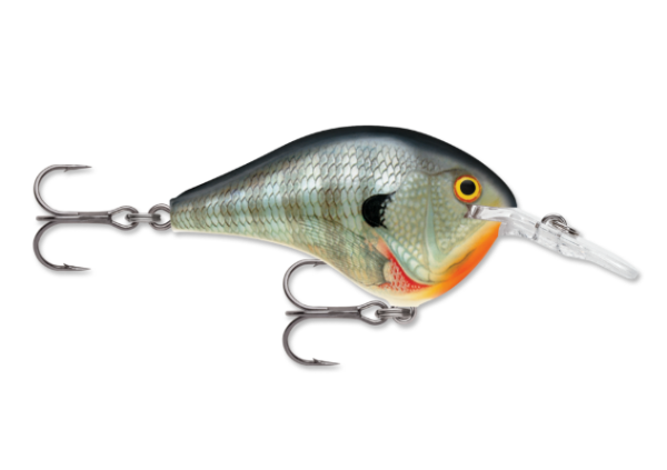 Realistic bluegill fishing lure with orange belly and two treble hooks.