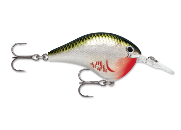 A silver and olive fishing lure with red belly and two treble hooks.