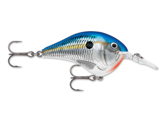 Side view of a blue and silver fishing lure with an orange belly and clear lip.