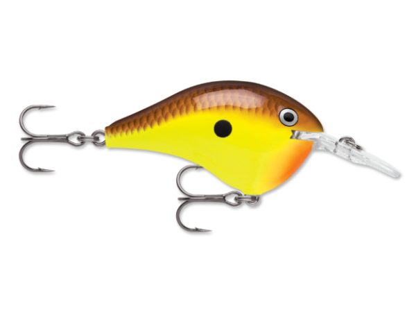 A brown and yellow fishing lure with an orange belly and two treble hooks.