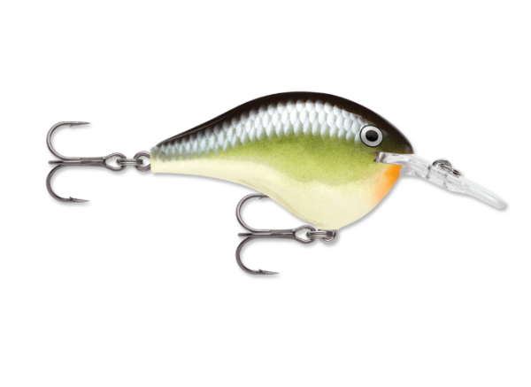 A green, yellow, and black fishing lure with silver scales, two hooks, and a clear lip.