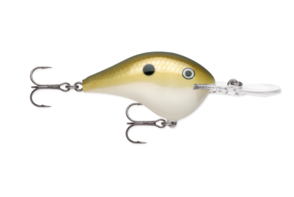 Lemon shad fishing lure with a gold top and white belly.
