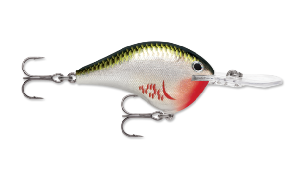 A green, silver, and red 'bleeding shiner' fishing lure with two treble hooks.
