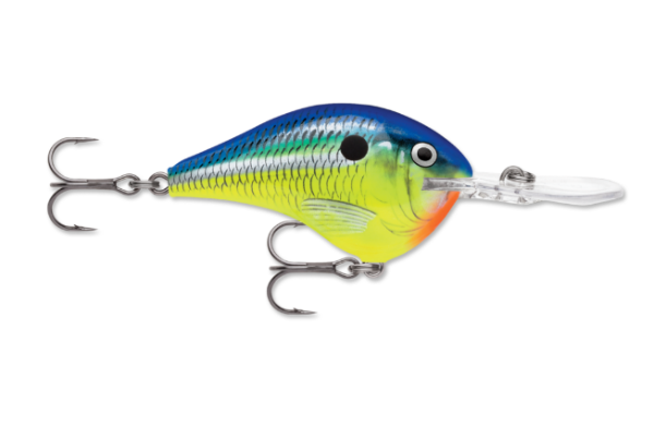 Colorful parrot-patterned fishing crankbait with a clear diving lip and two treble hooks.