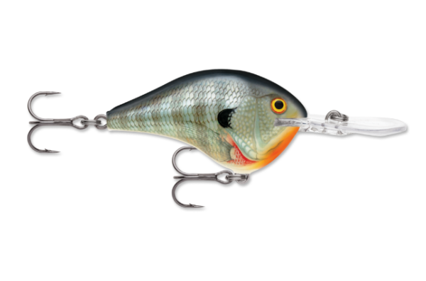 A bluegill pattern fishing crankbait lure with two treble hooks and a clear diving lip.