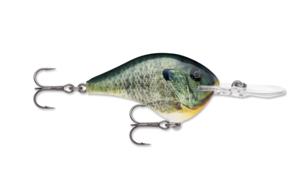 Green and yellow bluegill fishing lure with two treble hooks and a clear lip.