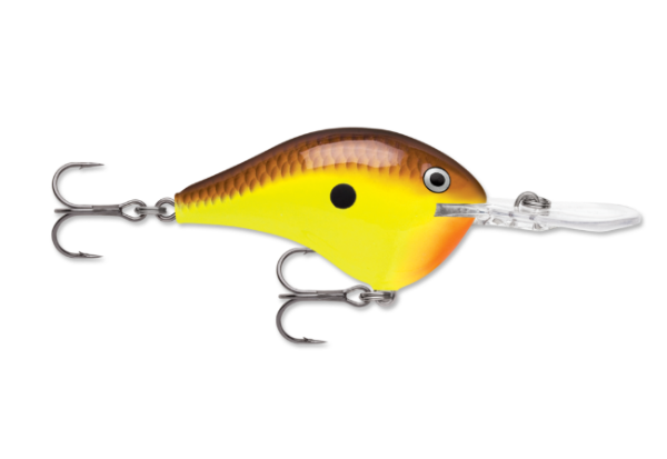 Chartreuse and brown fishing lure with an orange belly and clear diving lip.