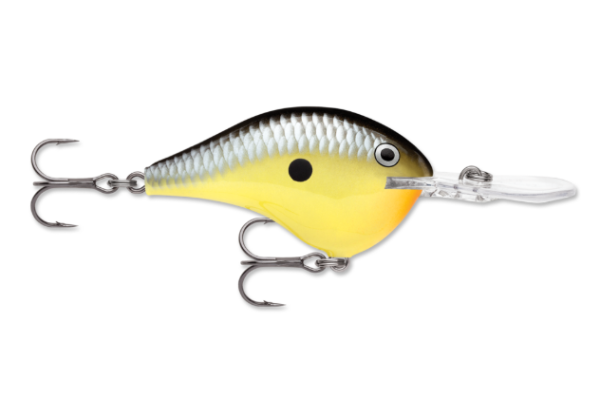 Bright yellow and black fishing lure with silver scales and clear diving lip.
