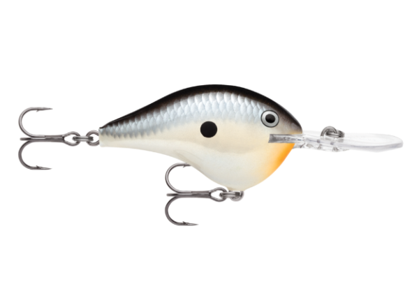 A black, silver, and white fishing lure with an orange belly and clear diving lip.